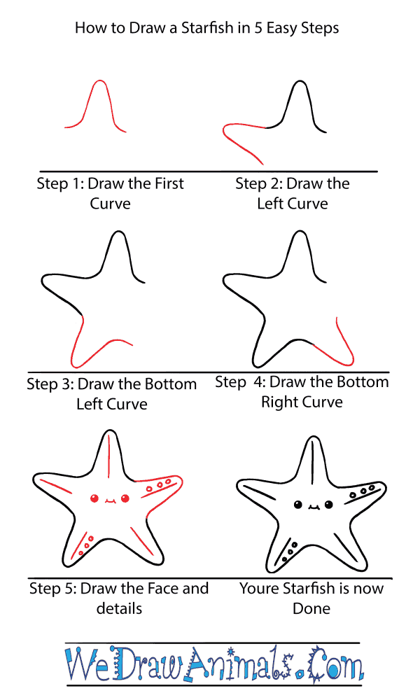 How to Draw a Cute Starfish - Step-by-Step Tutorial