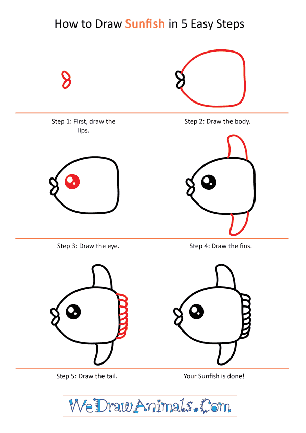 How to Draw a Cute Sunfish - Step-by-Step Tutorial