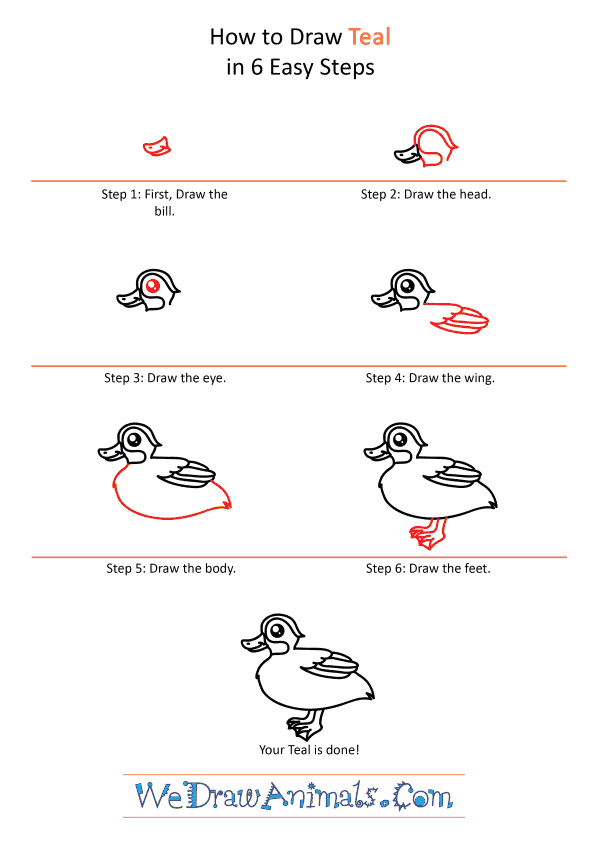 How to Draw a Cute Teal - Step-by-Step Tutorial