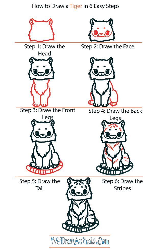 How to Draw a Tiger – Step by Step Drawing Tutorial - Easy Peasy