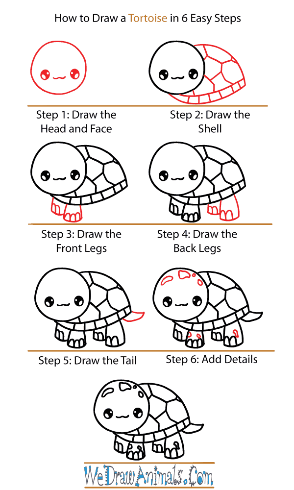 How to Draw a Cute Tortoise - Step-by-Step Tutorial