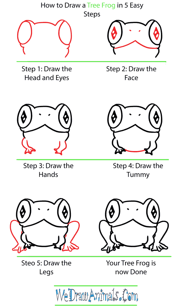 How to Draw a Cute Tree Frog - Step-by-Step Tutorial