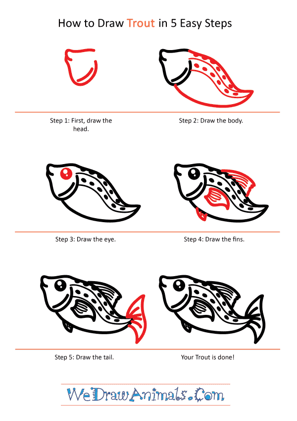 How to Draw a Cute Trout - Step-by-Step Tutorial