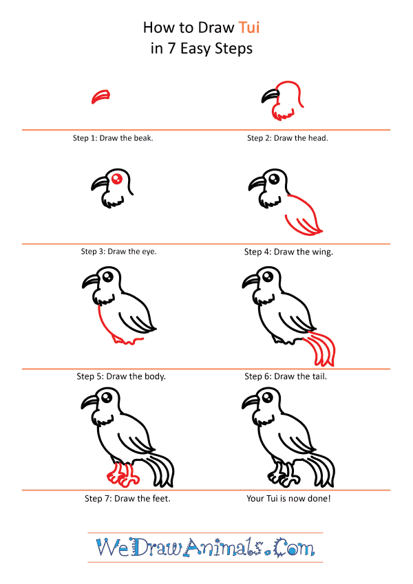 How to Draw a Cute Tui - Step-by-Step Tutorial