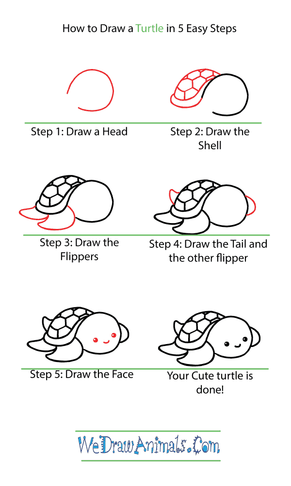 how to draw a cute turtle