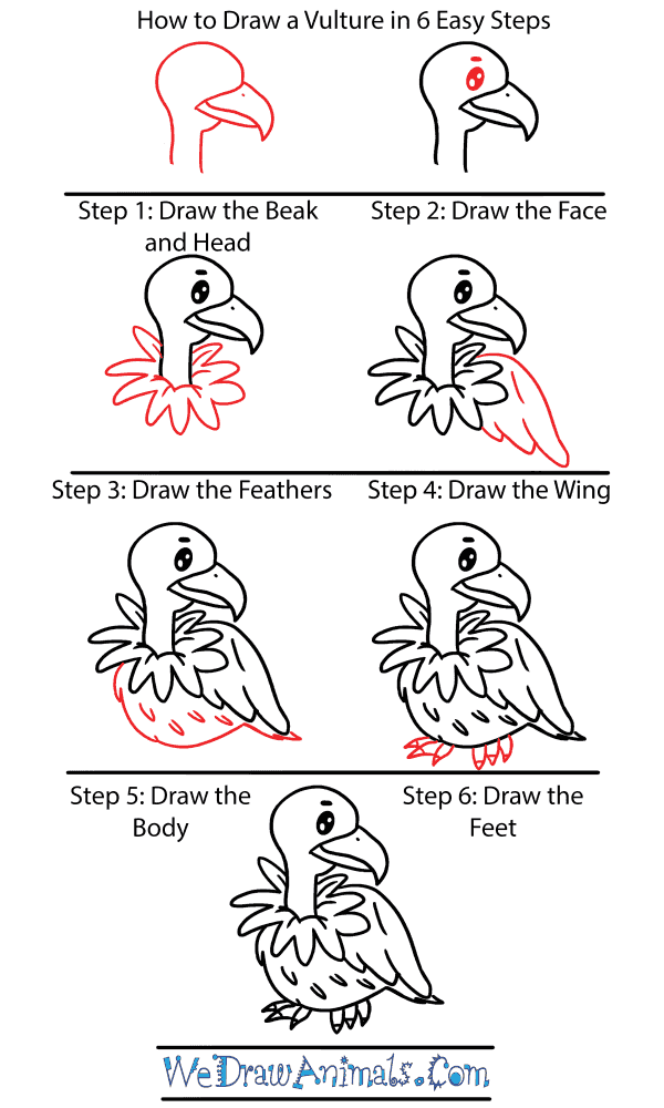 How to Draw a Cute Vulture - Step-by-Step Tutorial