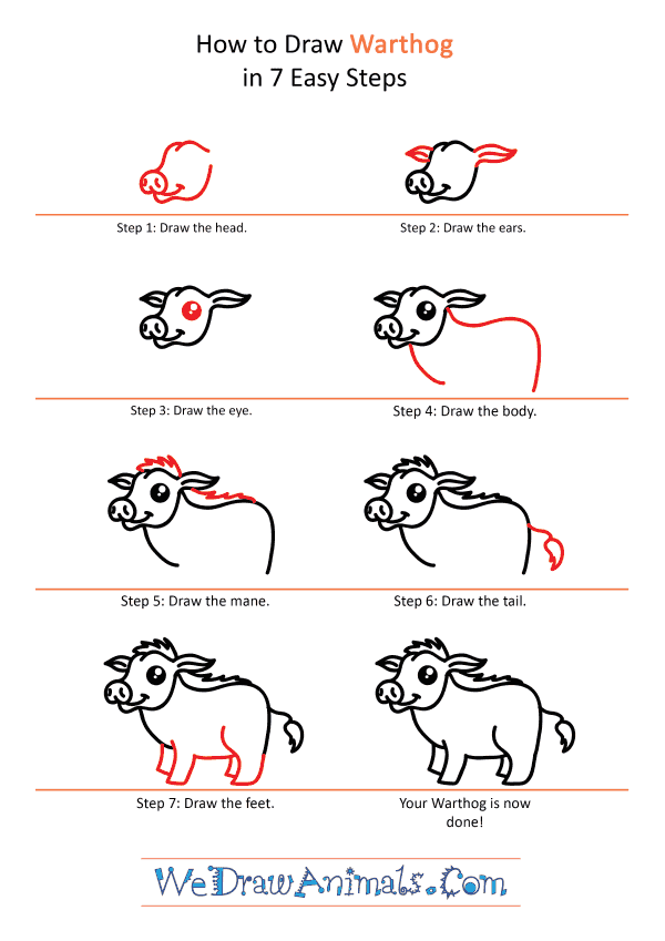 How to Draw a Cute Warthog - Step-by-Step Tutorial