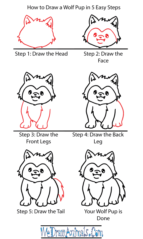 How to Draw a Cute Wolf Pup - Step-by-Step Tutorial