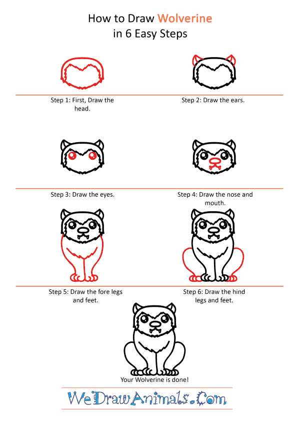 How to Draw a Cute Wolverine - Step-by-Step Tutorial