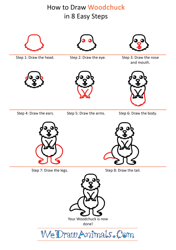 How to Draw a Cute Woodchuck - Step-by-Step Tutorial