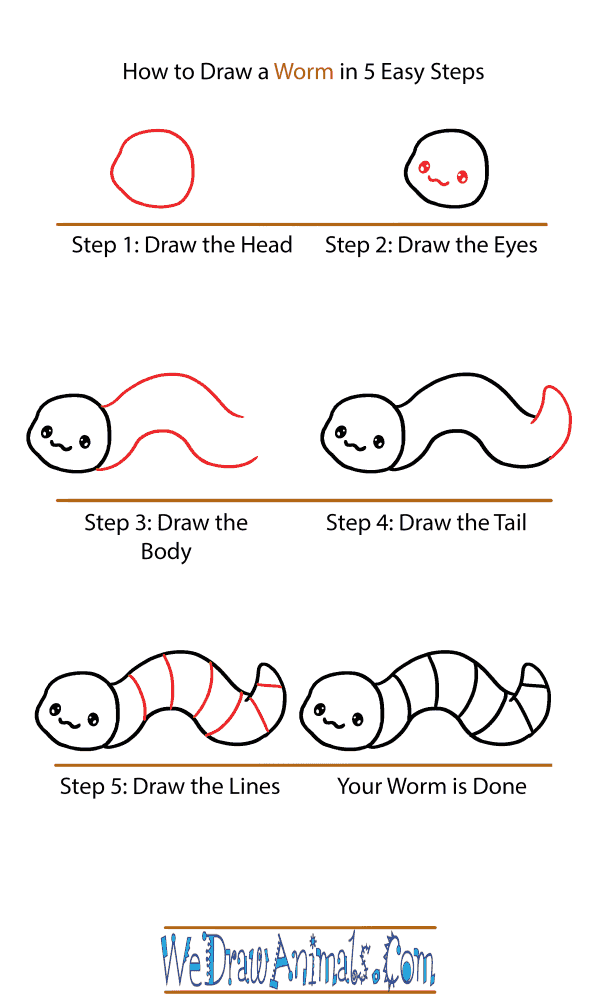 How to Draw Animals Step by Step-Worm Graphic by Creative Dream