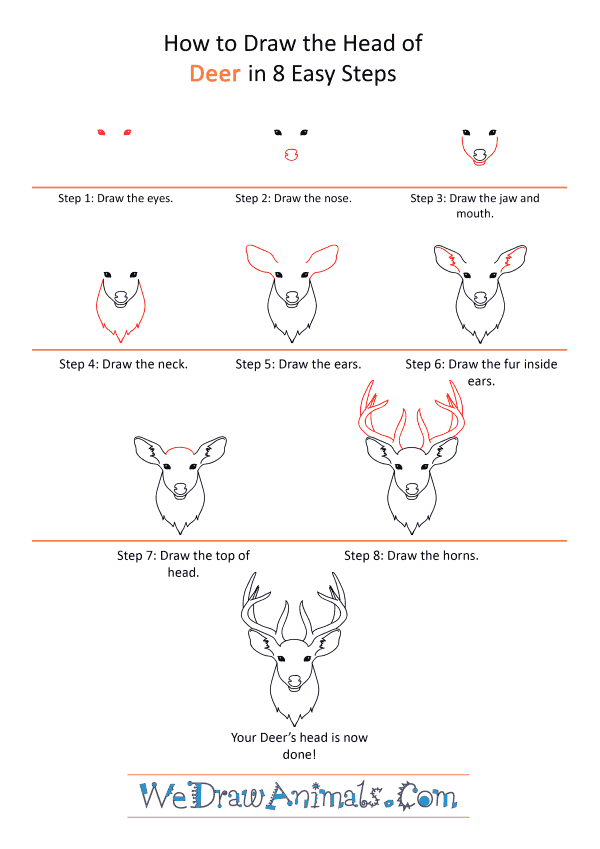 How to Draw a Deer Face - Step-by-Step Tutorial