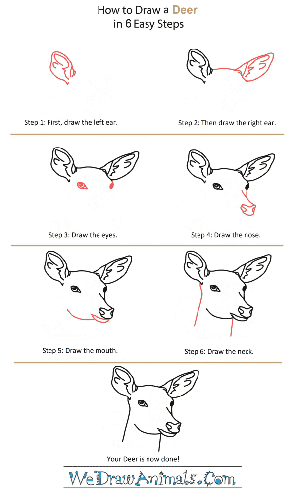 How to Draw a Deer Head - Step-by-Step Tutorial
