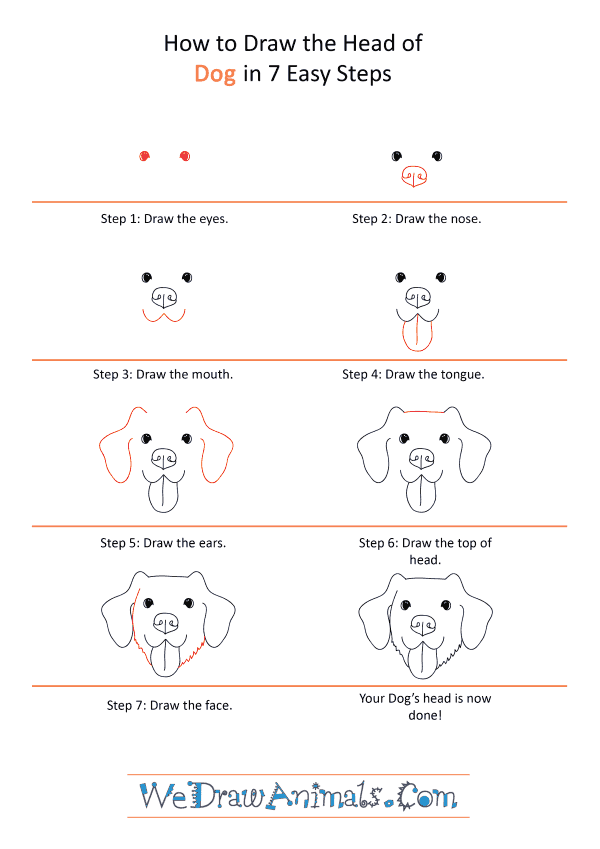 How to Draw a Dog Face - Step-by-Step Tutorial