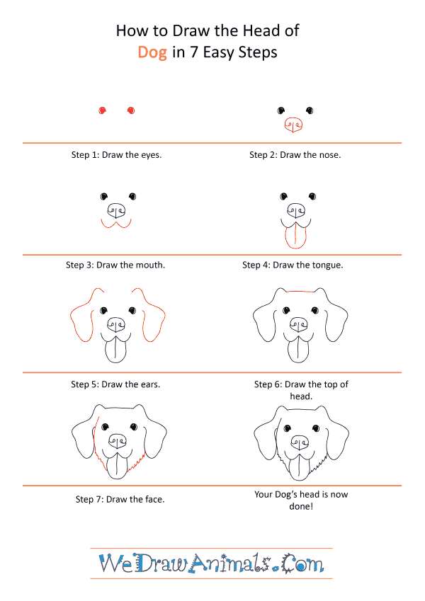 Featured image of post How To Draw A Dog Head - The team of drawing for all does not stop working and create new drawing lessons.