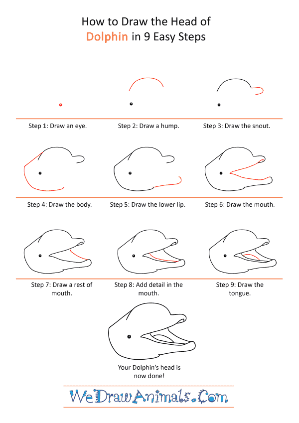 How to Draw a Dolphin Face - Step-by-Step Tutorial