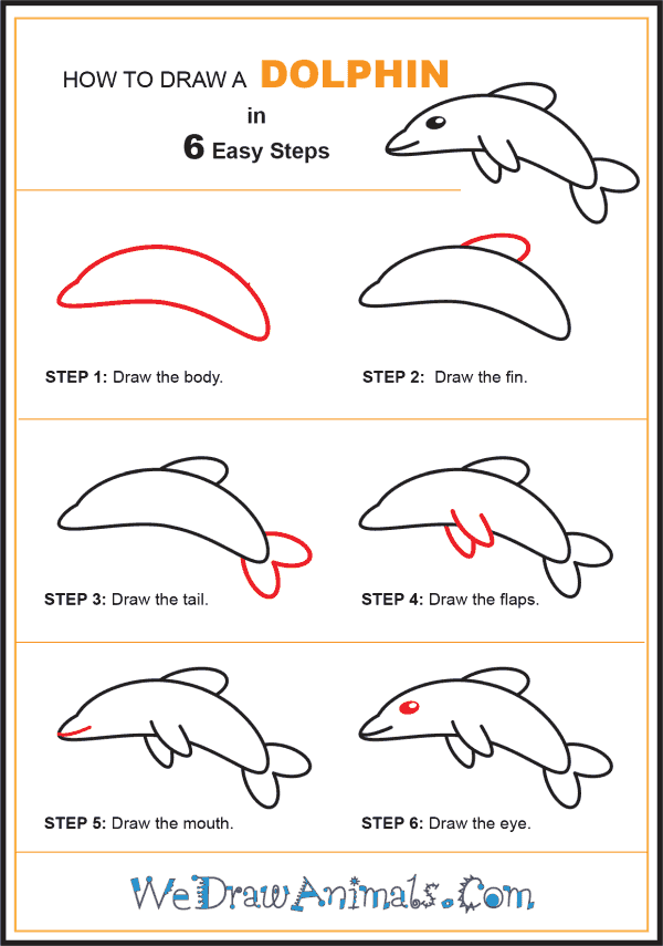 How to Draw a Dolphin for Kids - Step-by-Step Tutorial