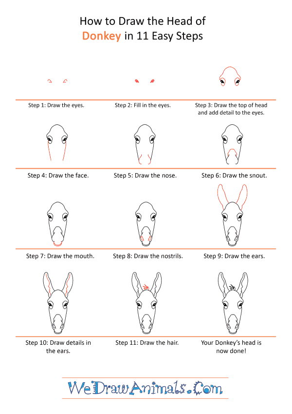 How to Draw a Donkey Face - Step-by-Step Tutorial