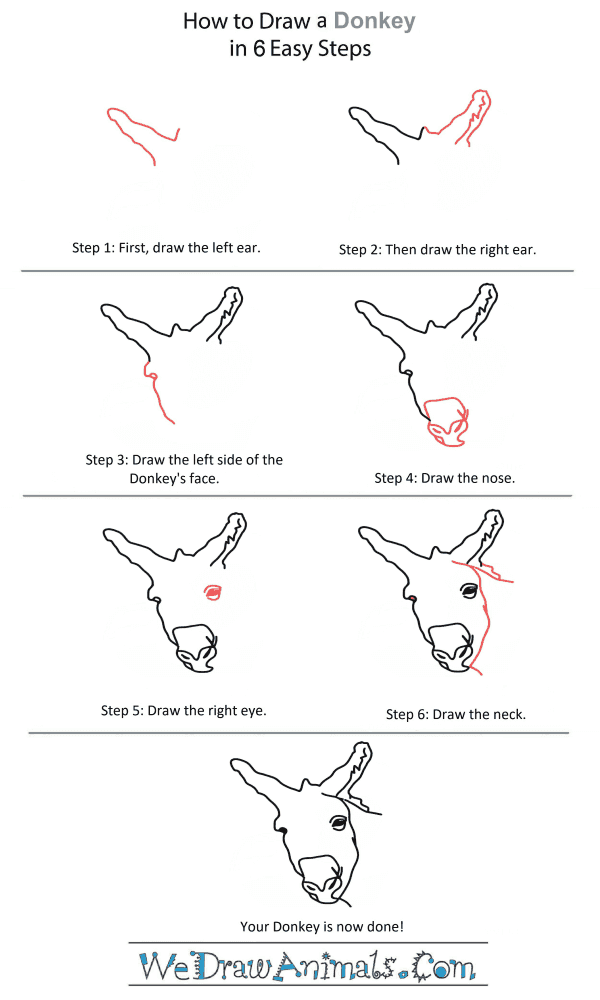 How to Draw a Donkey Head - Step-by-Step Tutorial