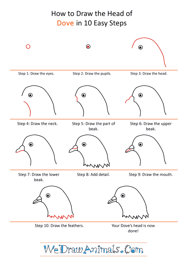 How to Draw a Dove Face - Step-by-Step Tutorial