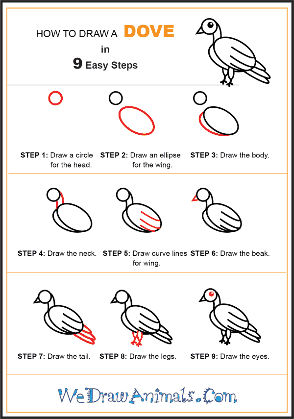 How to Draw a Dove for Kids - Step-by-Step Tutorial