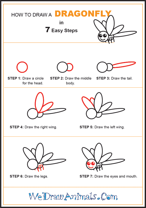 How to Draw a Dragonfly for Kids - Step-by-Step Tutorial