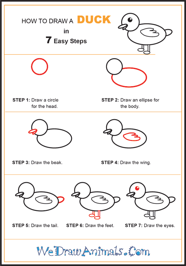 How to Draw a Duck for Kids - Step-by-Step Tutorial
