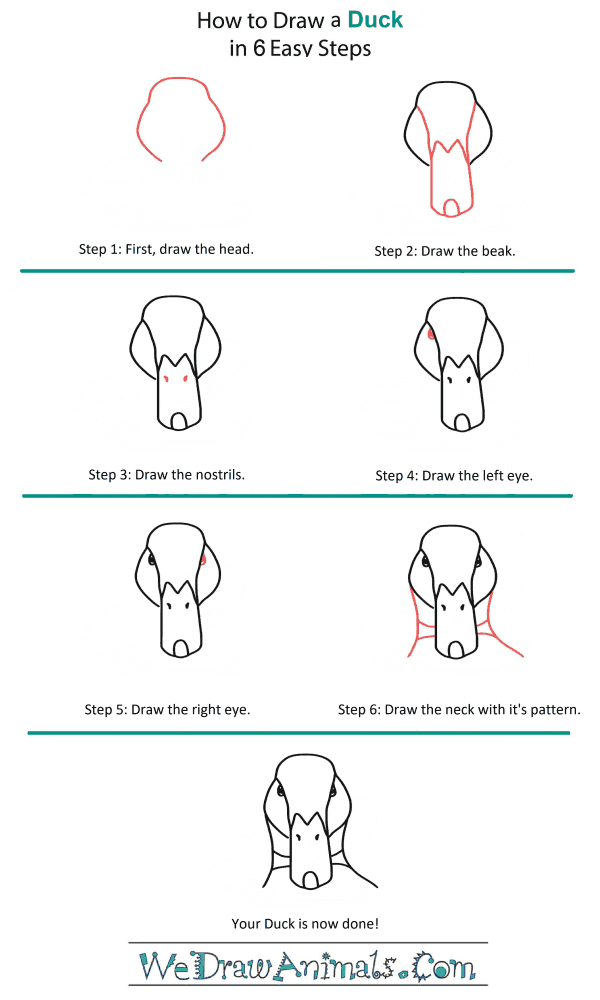 How to Draw a Duck Head - Step-by-Step Tutorial
