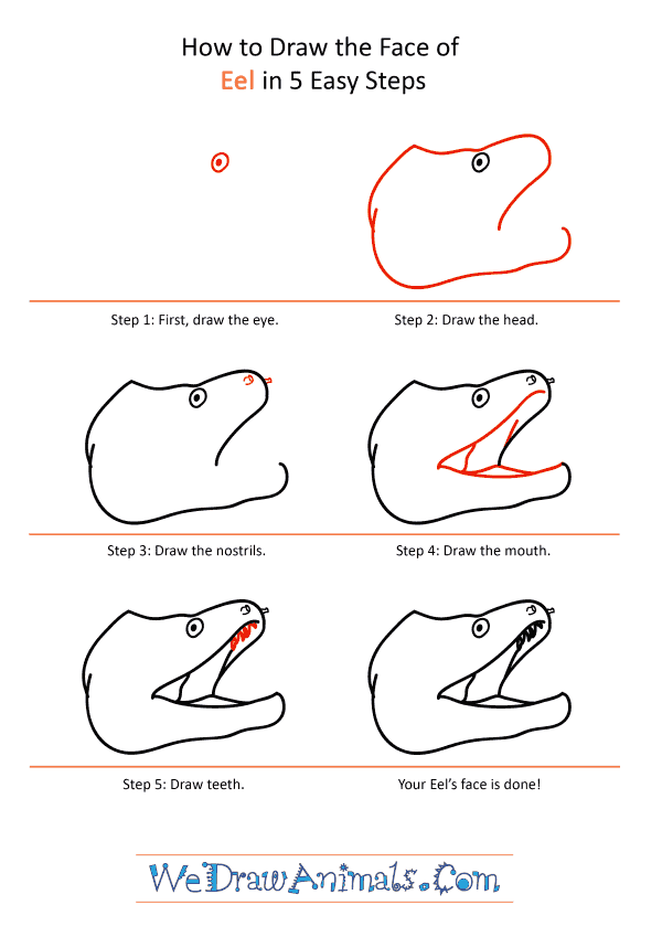 How to Draw an Eel Face - Step-by-Step Tutorial
