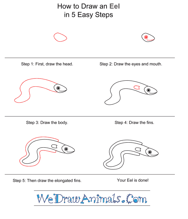 How to Draw an Eel for Kids - Step-by-Step Tutorial