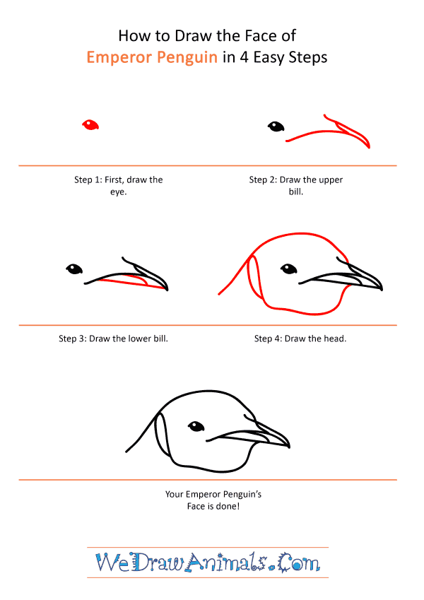 How to Draw an Emperor Penguin Face - Step-by-Step Tutorial
