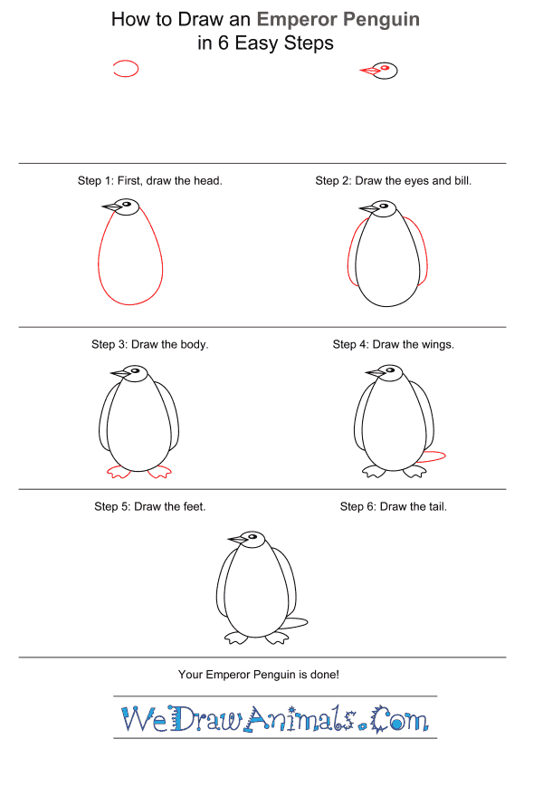 How to Draw an Emperor Penguin for Kids - Step-by-Step Tutorial