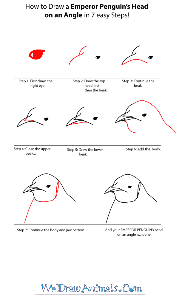 How to Draw an Emperor Penguin Head - Step-by-Step Tutorial
