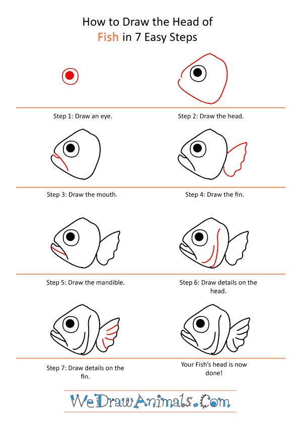 How to Draw a Fish Face - Step-by-Step Tutorial