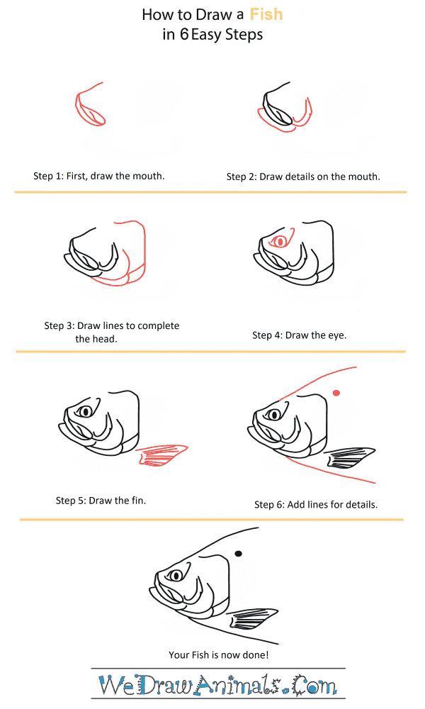 How to Draw a Fish Head - Step-by-Step Tutorial