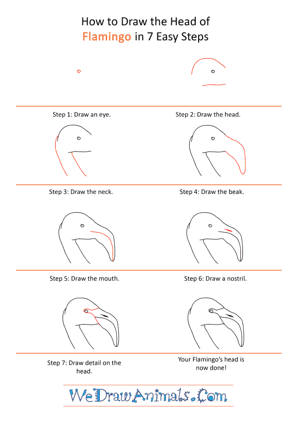 How to Draw a Flamingo Face - Step-by-Step Tutorial