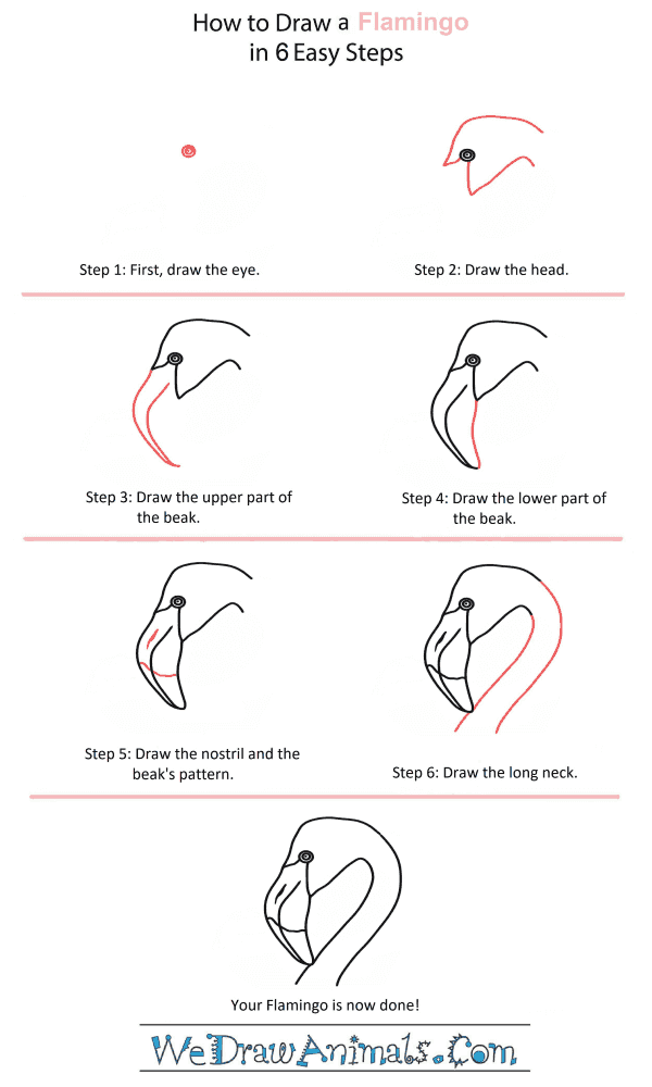 How to Draw a Flamingo Head - Step-by-Step Tutorial