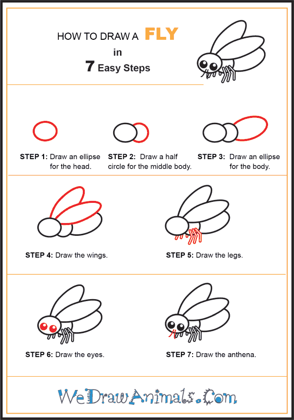 How to Draw a Fly for Kids - Step-by-Step Tutorial