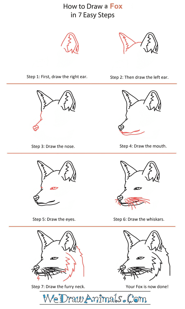 How to Draw a Fox Head - Step-by-Step Tutorial