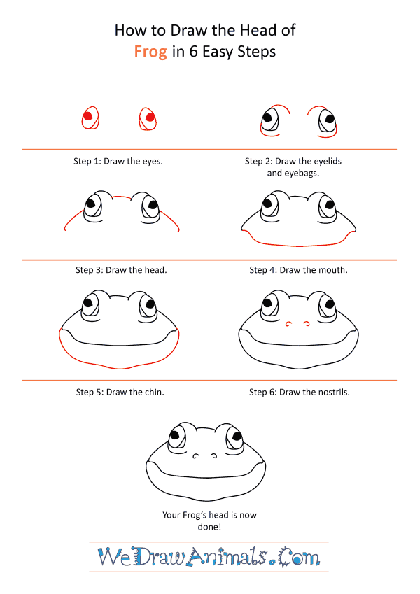 How to Draw a Frog Face - Step-by-Step Tutorial