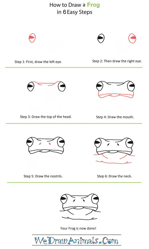 How to Draw a Frog Head - Step-by-Step Tutorial