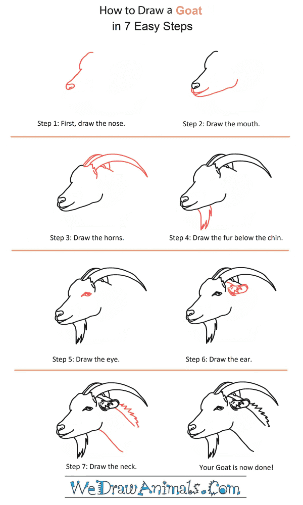 How to Draw a Goat Head - Step-by-Step Tutorial