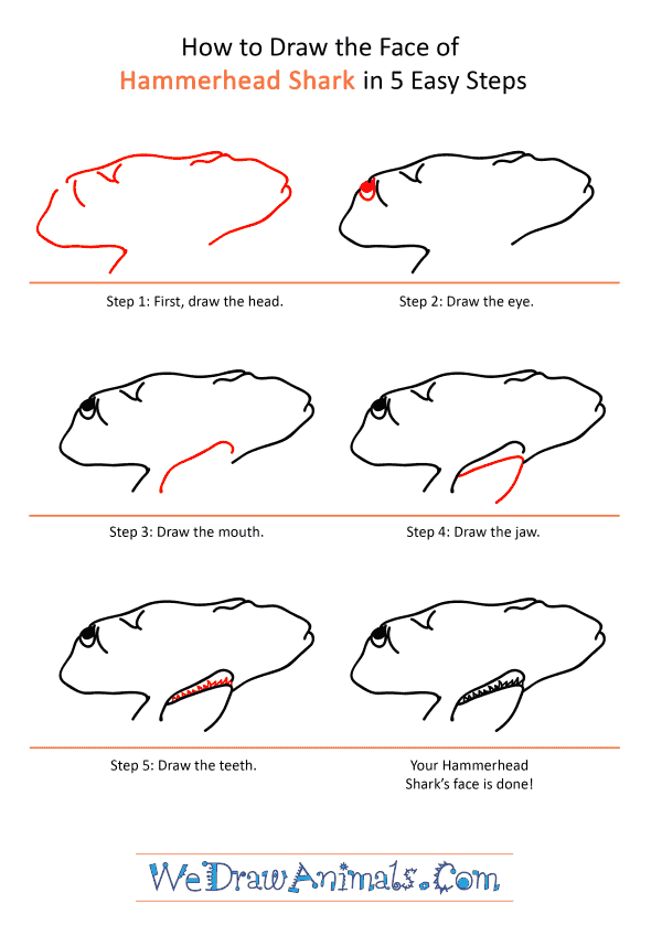 How to Draw a Hammerhead Shark Face - Step-by-Step Tutorial