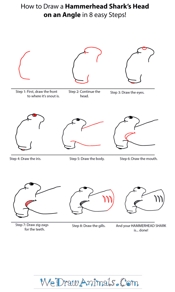 How to Draw a Hammerhead Shark Head - Step-by-Step Tutorial