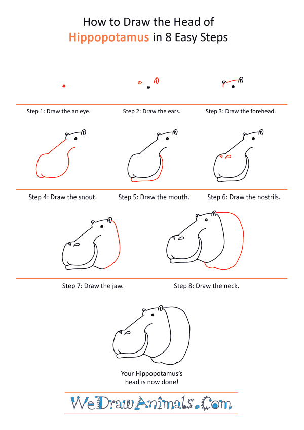 How to Draw a Hippopotamus Face - Step-by-Step Tutorial