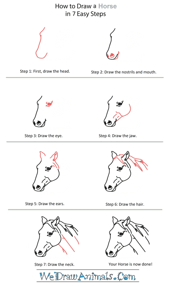 How to Draw a Horse Head - Step-by-Step Tutorial