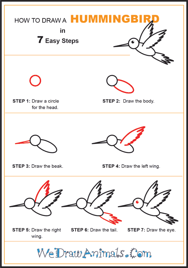 How to Draw a Hummingbird for Kids - Step-by-Step Tutorial
