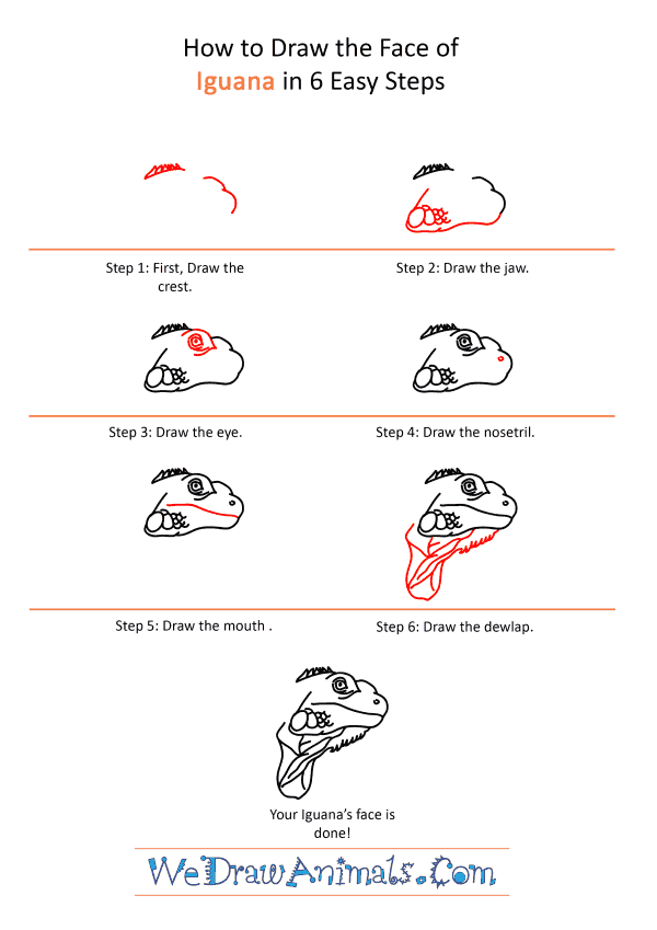 How to Draw an Iguana Face - Step-by-Step Tutorial