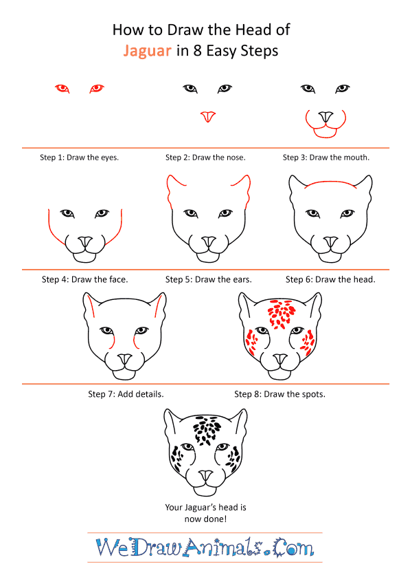 How to Draw a Jaguar Face - Step-by-Step Tutorial