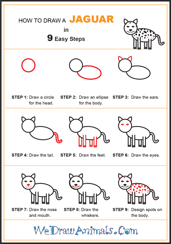 How to Draw a Jaguar for Kids - Step-by-Step Tutorial